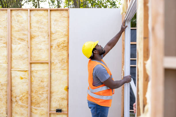 Best Insulation Removal  in Seminole, TX