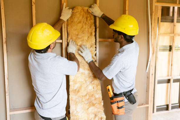 Best Wall Insulation Contractor  in Seminole, TX